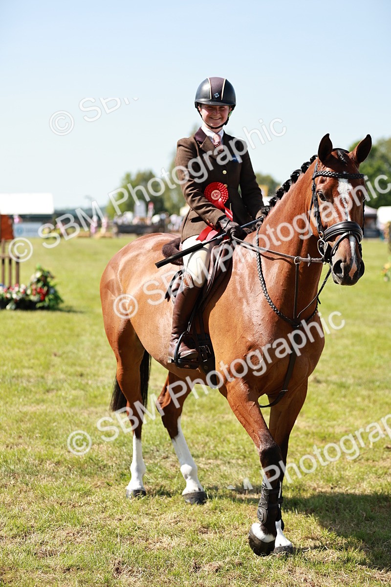 SBM_18462 - Class 112-113 - BSPS LIHS Working Sports Pony
