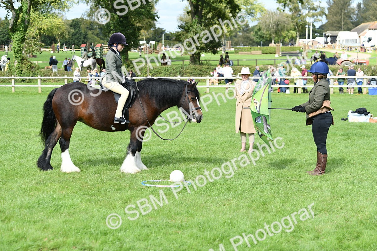 SBM_46924 - S12 - Family Horse & Pony