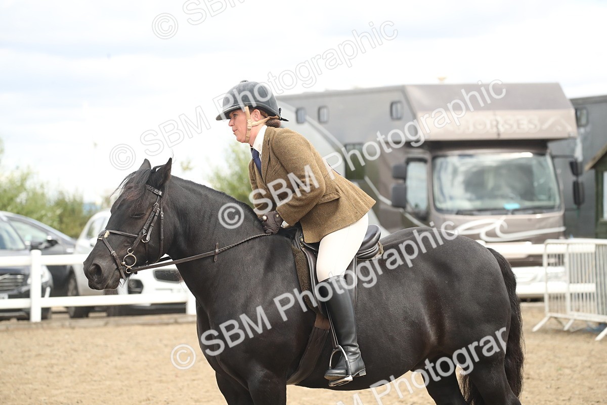 SBM_14546 - Class 505a - M&M Working Veteran - 50cm (15-19)