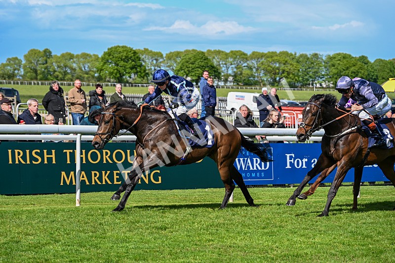 120526-Race 3-Merlier-7815 - Race 3 3.30pm Bowel Cancer Screening Programme Saves Lives Selling Stakes