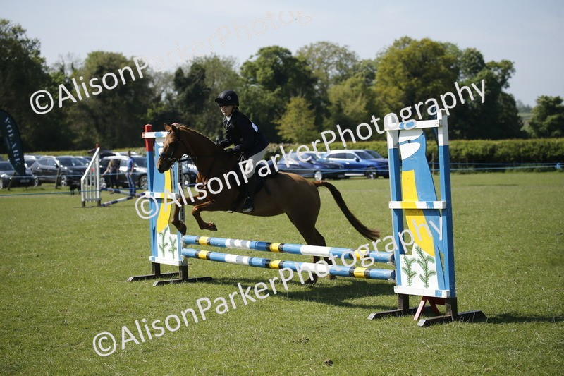 20250427-2092 - Class 13 - Novice Jumping 60cm