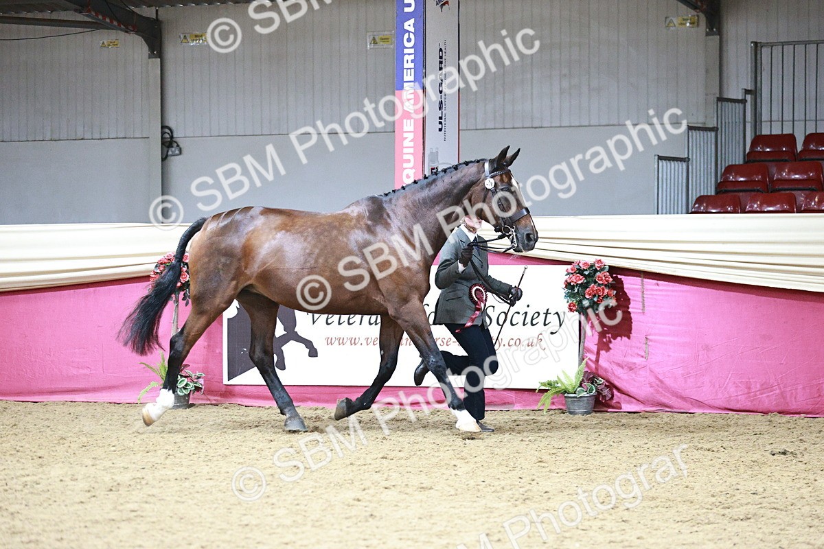 SBM_06622 - Regional - IH Champs