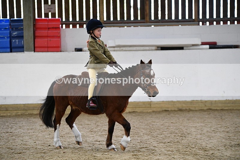 WJ5_6979 - Class 10 Childs Pony
