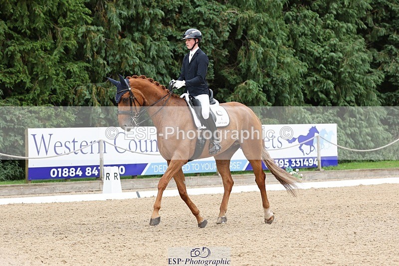 240810-155256-04112 - 208-Tom.Carter-Rubin.Regal