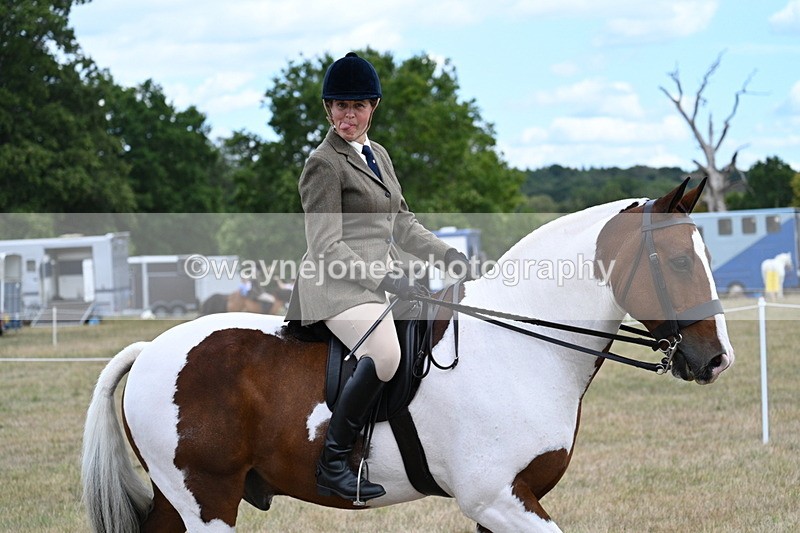 WJ7_5427 - Class 12 Ridden Cob