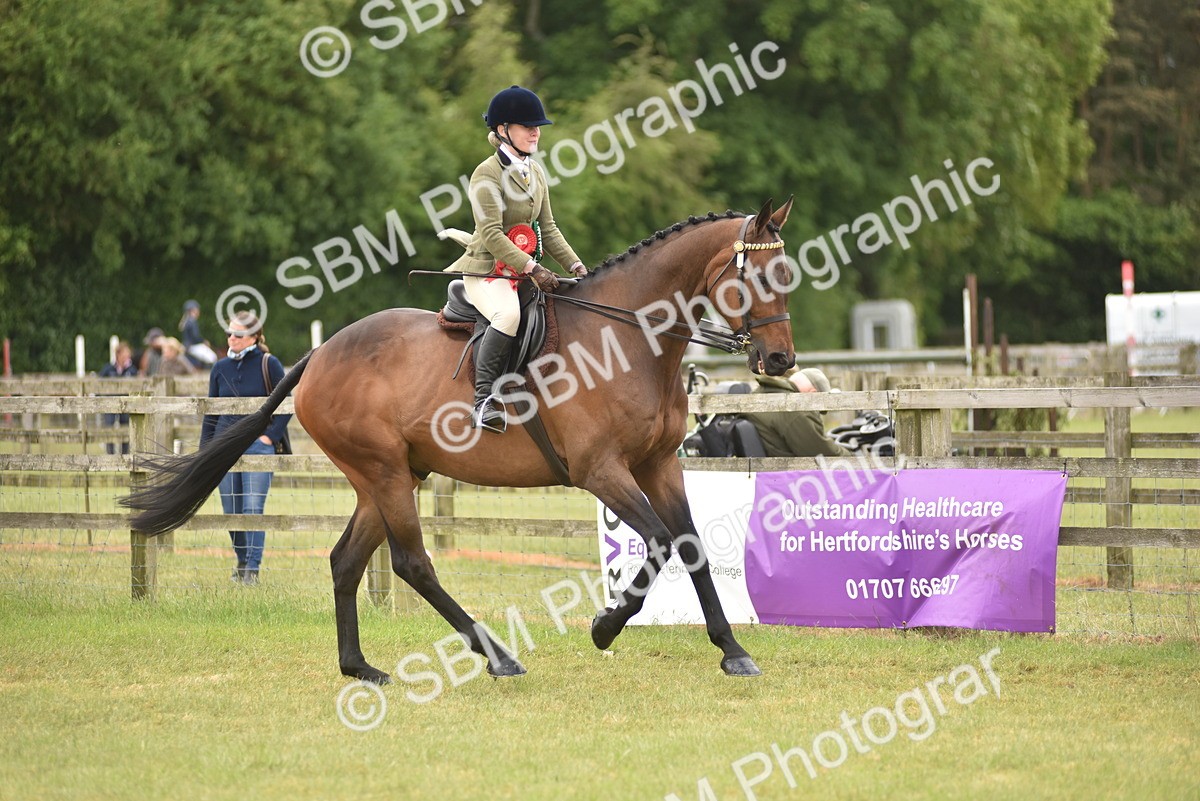SBM_14278 - Class 113-114 - Retraining of Racehorses Ridden