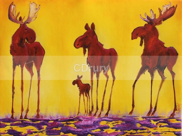 Redbull Mystery - AVAILABLE PRINTS and Notecards