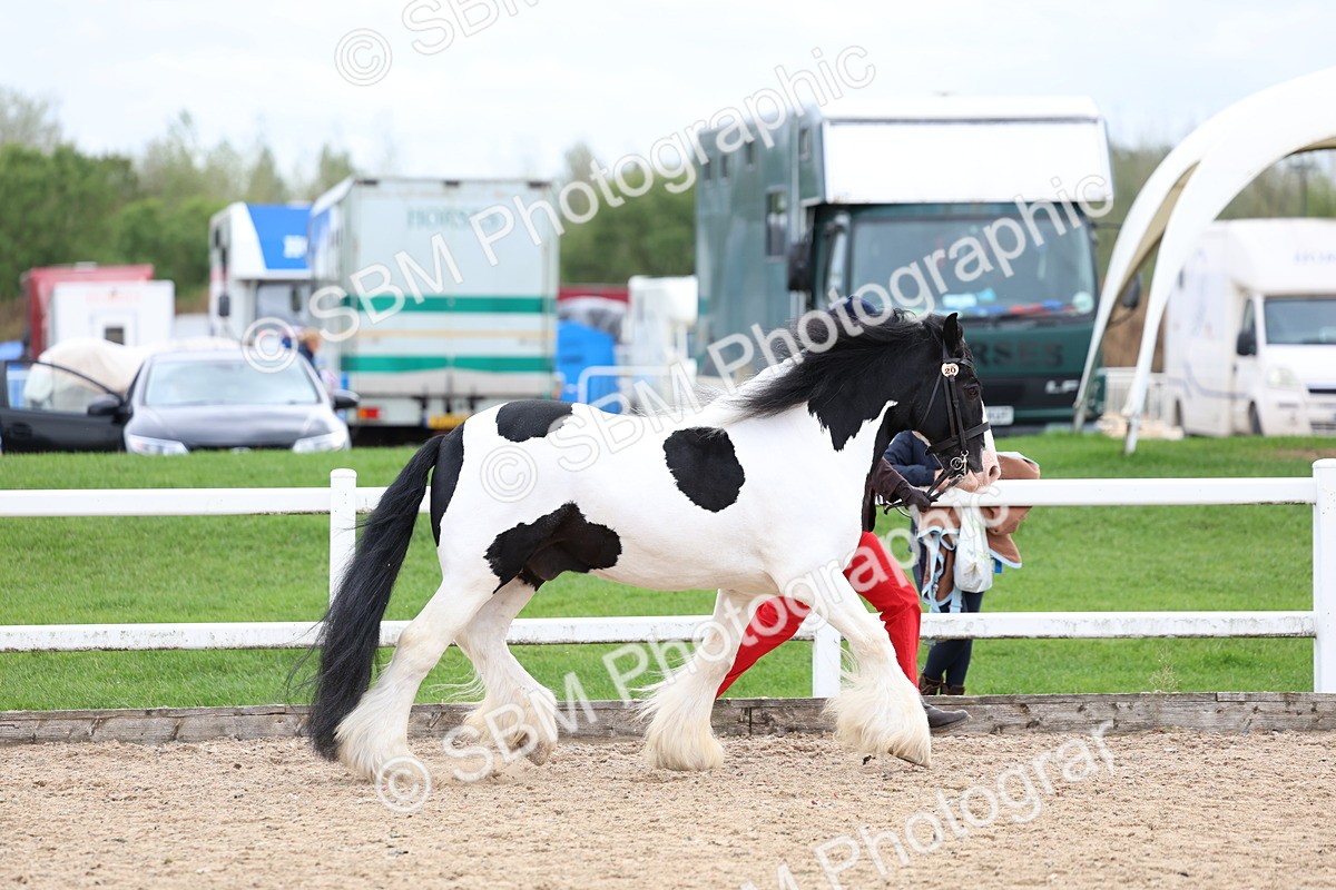 SBM_05861 - Class 29 - IH Veteran Pony