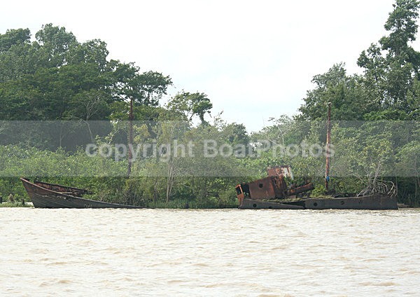 070119 One of those new garden boats - ATLANTIC CROSSING 2006
