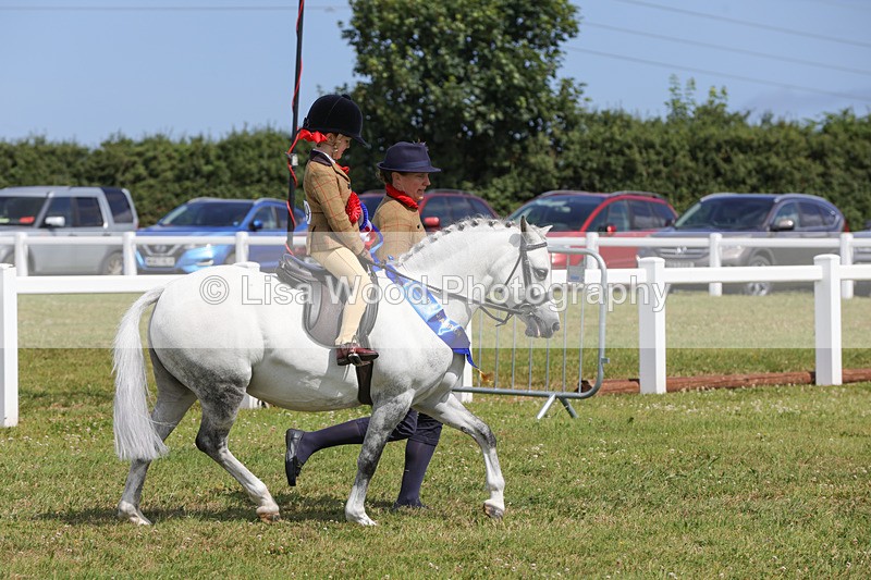 1X9A3866 - Plaited Mini Ridden Championship