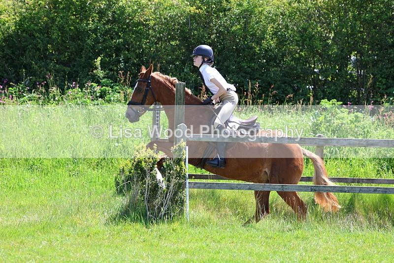 3E7A7119 - Class 30: Novice Working Hunter