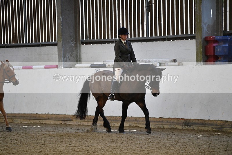 WJ5_5917 - Class 9 Ridden Veteran