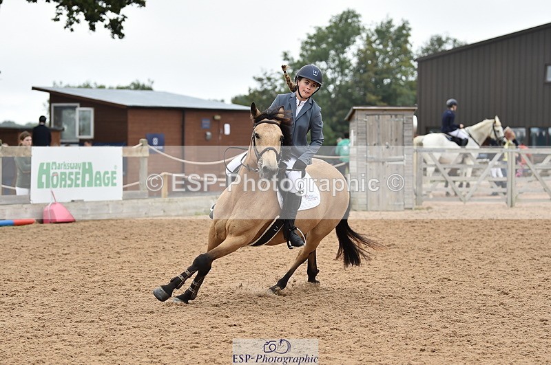 230902A-113724-00773 - Cls 2B Pony Small 80cm