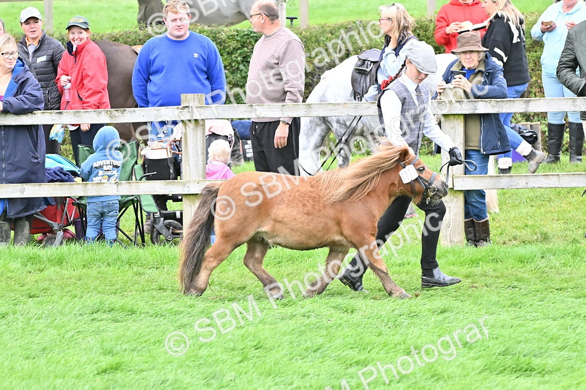 SBM_61020 - S48 - Mountain & Moorland In Hand Small Breeds
