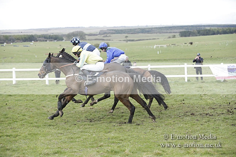 PtP 150320 0689 - New Forest Point-to-Point Larkhill 15/03/20
