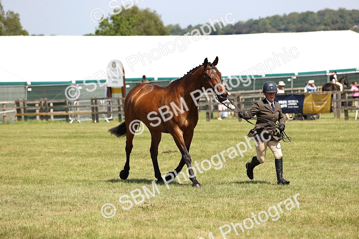 SBM_14976 - Class 78 - LIHS BSHA Open Racehorse & Show Horse