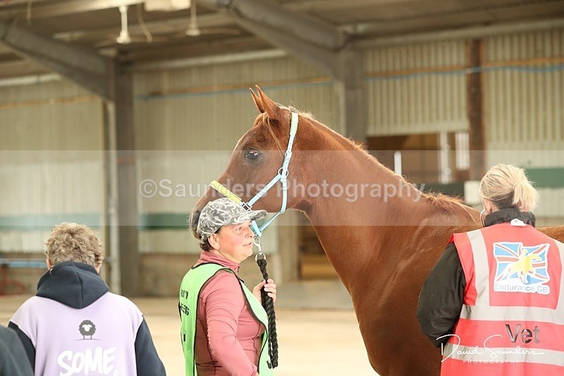 SPXX3543 - Vetting