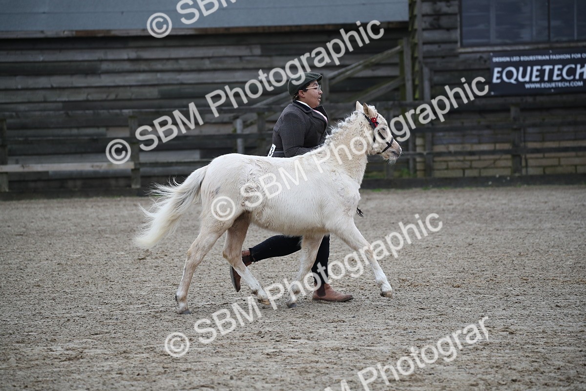 SBM_004593 - Class 5-9 - NPS In Hand-Show Hunter-Intermediate Ridden Inc Ridden Championship