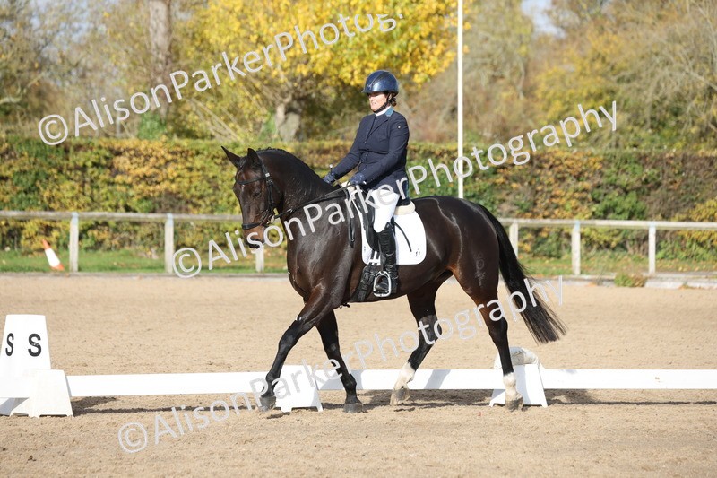 20251102-1117 - Class 6 - Elementary 6