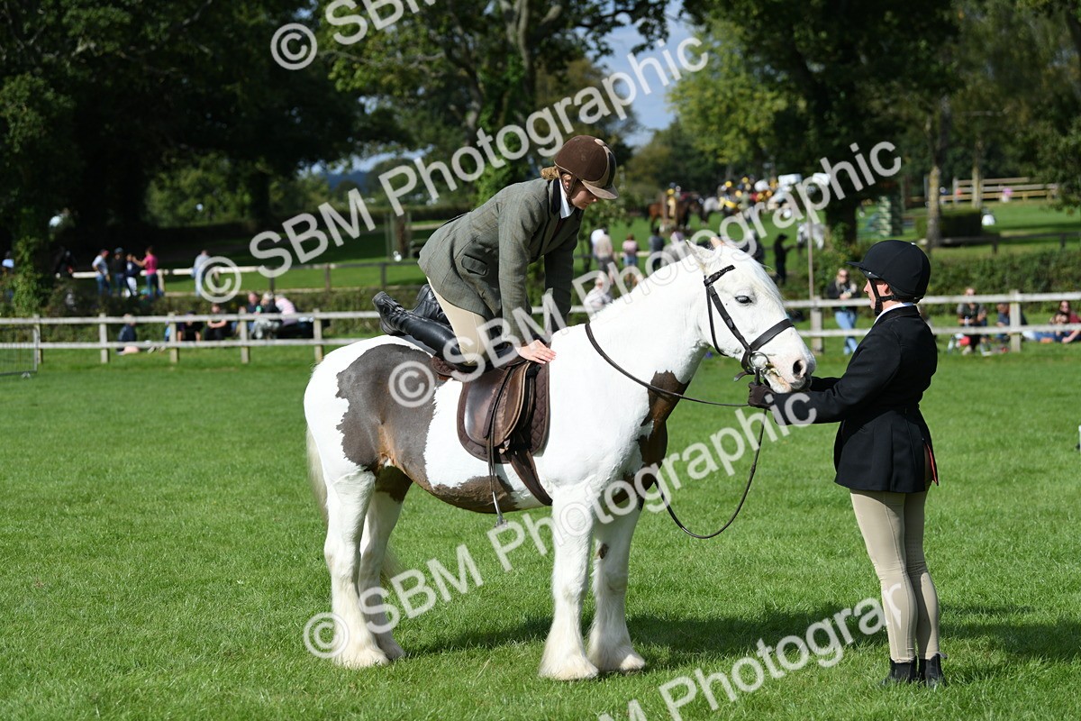 SBM_47032 - S12 - Family Horse & Pony