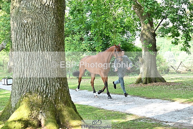 250521A-163949-01263 - C-251-Freddie.Carden-MBF.VITAL.FINESSE