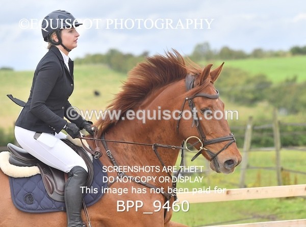 BPP_9460 - CLASS 7 Senior Newcomers/ 1.10m OpenSenior Newcomers/ 1.10m Open