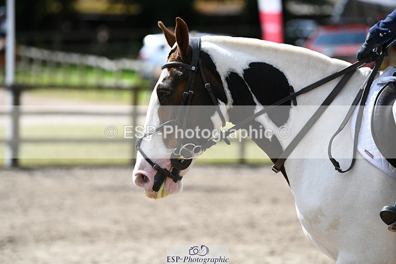 240825X-122437-32856 - 70cm SJ 11.40 to 12.30