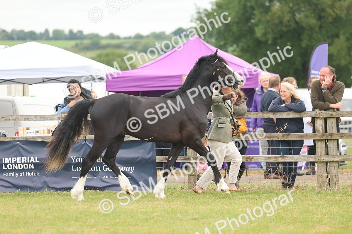 SBM_04801 - Class 50-57 - M&M Welsh Pony In Hand