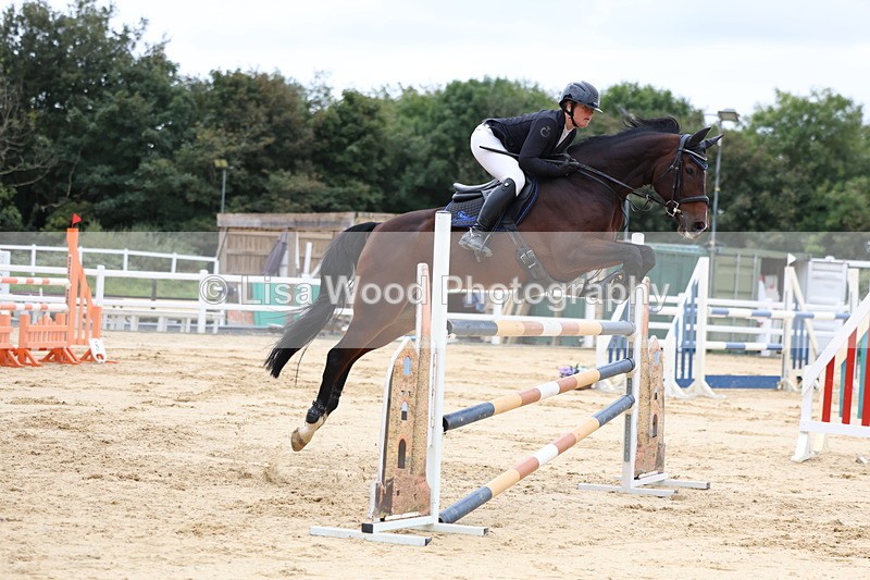 3E7A3390 - Class 9: Senior Foxhunter/1.20 open