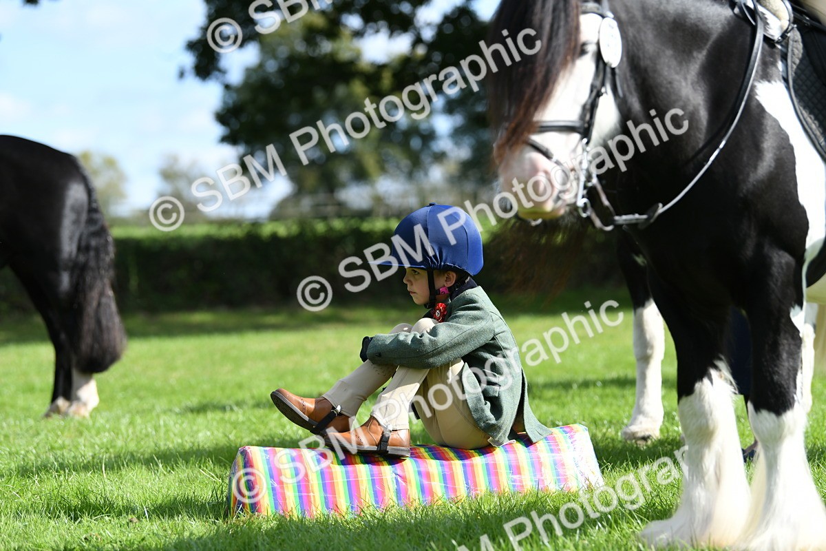 SBM_47083 - S12 - Family Horse & Pony