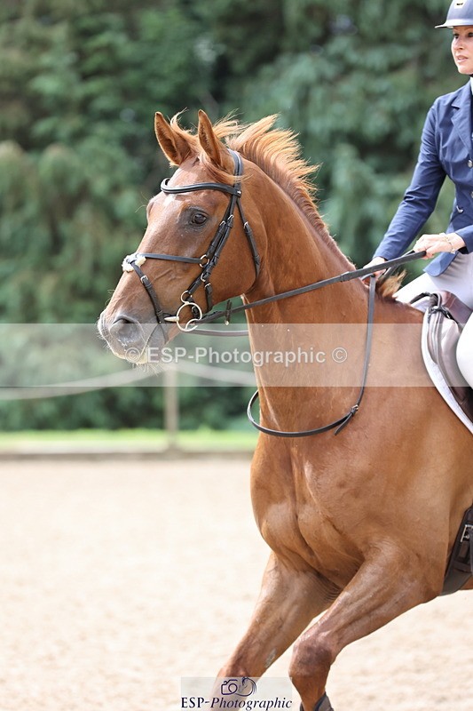 250705A-102702-13774 - Cls 33 Snr British Novice and 90cm Open