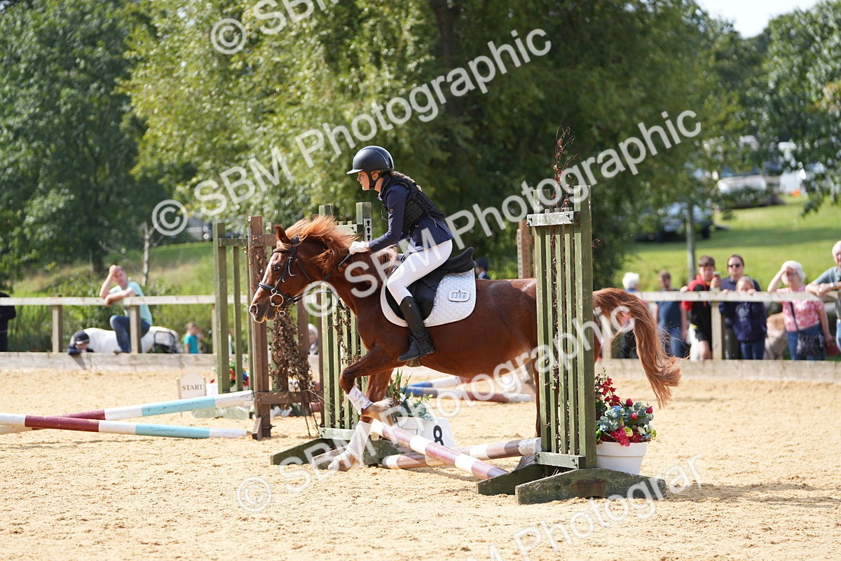 SBM_65813 - J2 - Mini Tour Junior Pony 30cm Championship