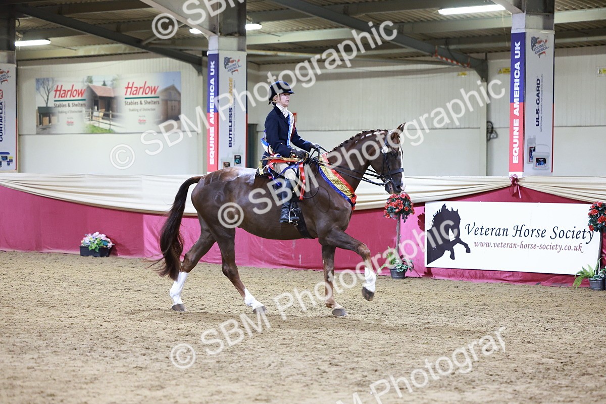 SBM_20717 - Class J - Foreign Breeds Champ