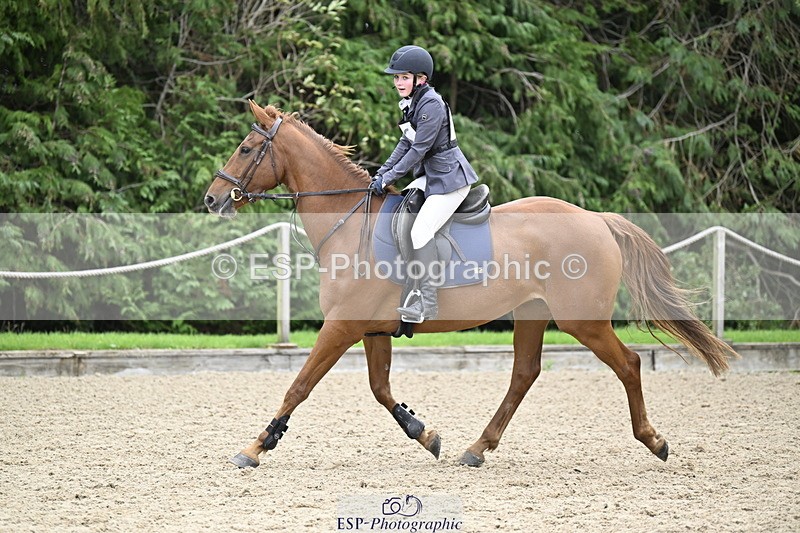 251005A-130153-04015 - Cls 08 Mini 70-75cm