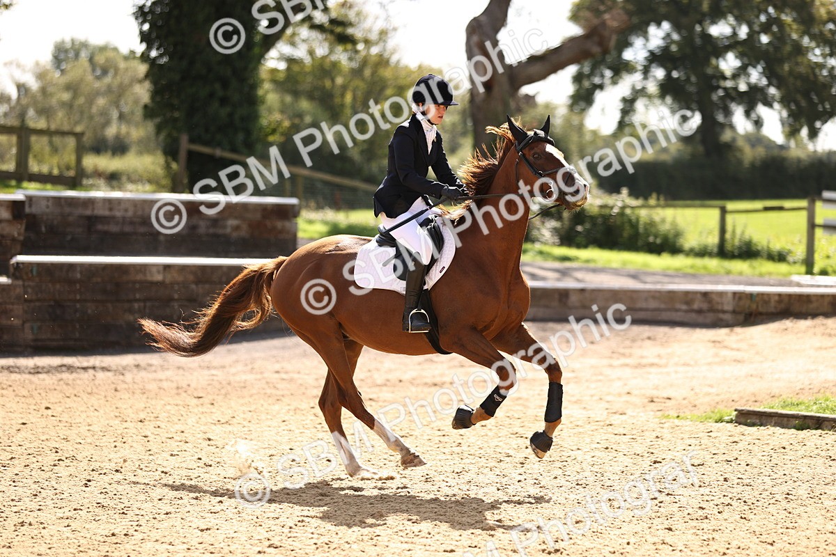 SBM_41003 - Supreme Championship - AM