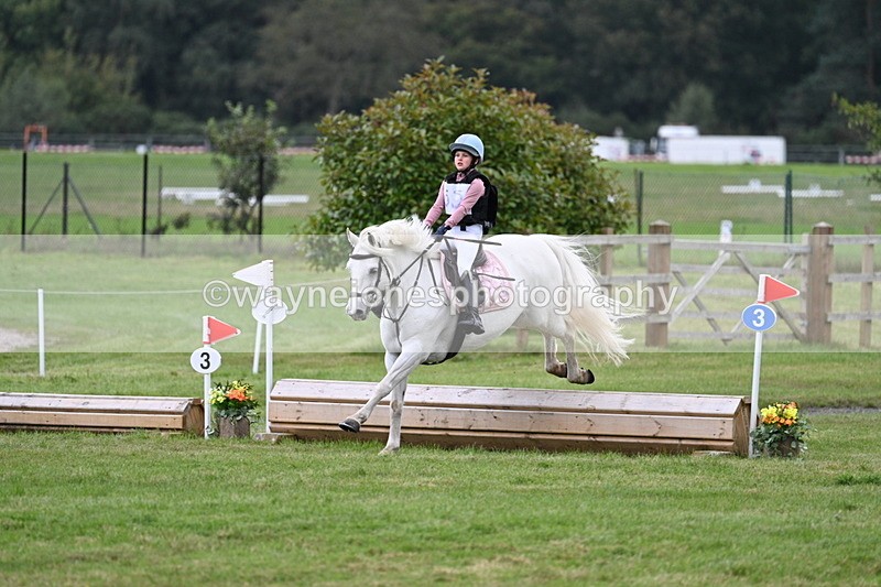 WJ7_8492 - 60cm Time 12:11 to 12:30