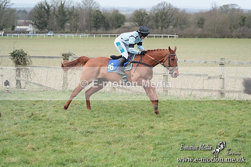 PtP 220225 284 - Kimblewick Point-to-Point  Kingston Blount 22/02/25
