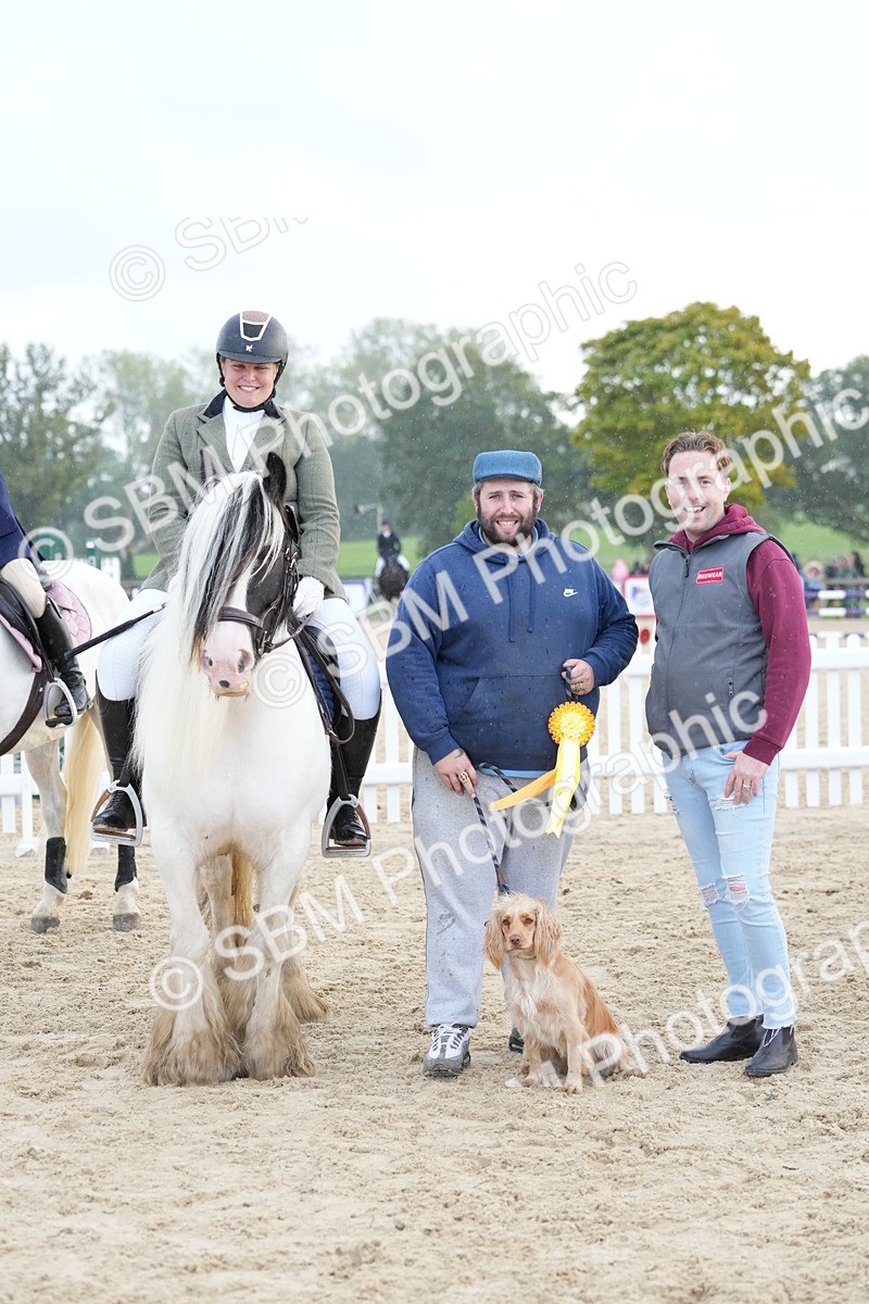 SBM_29218 - J43 - Horse & Hound Open 50cm