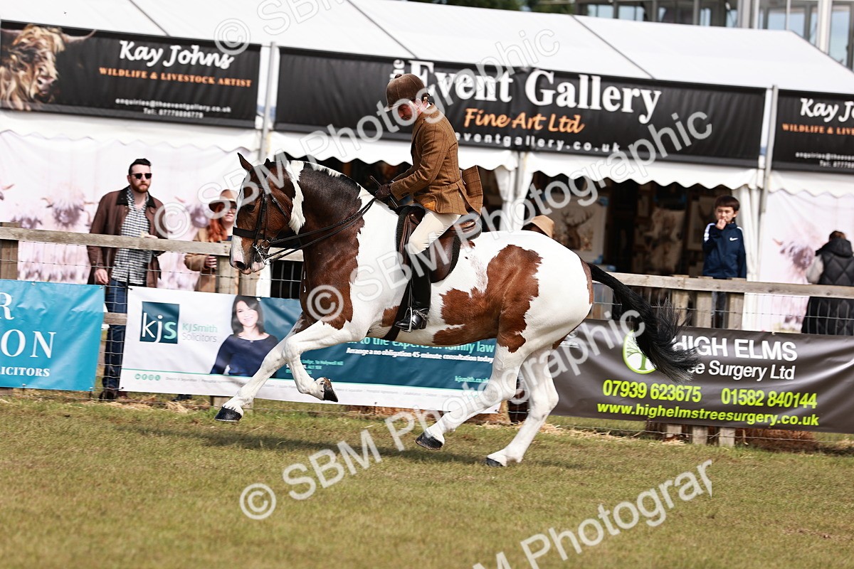 SBM_14048 - Class 85-87 - RIHS Cobs