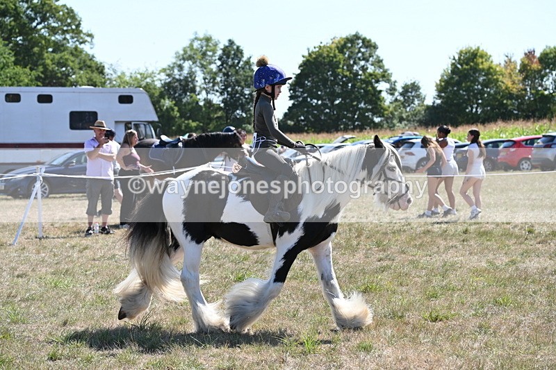 WJ6_8948 - Class 38 Ridden Riding Horse/Pony
