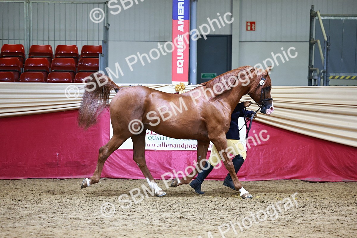 SBM_23883 - Grand Supreme Final - Overall Champ