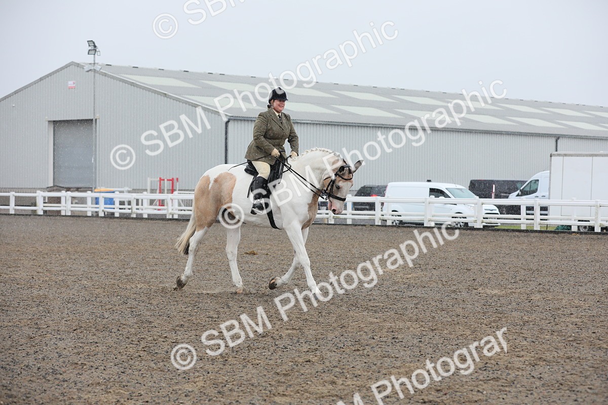 SBM_20347 - Class 803 - Ridden Combination 65+