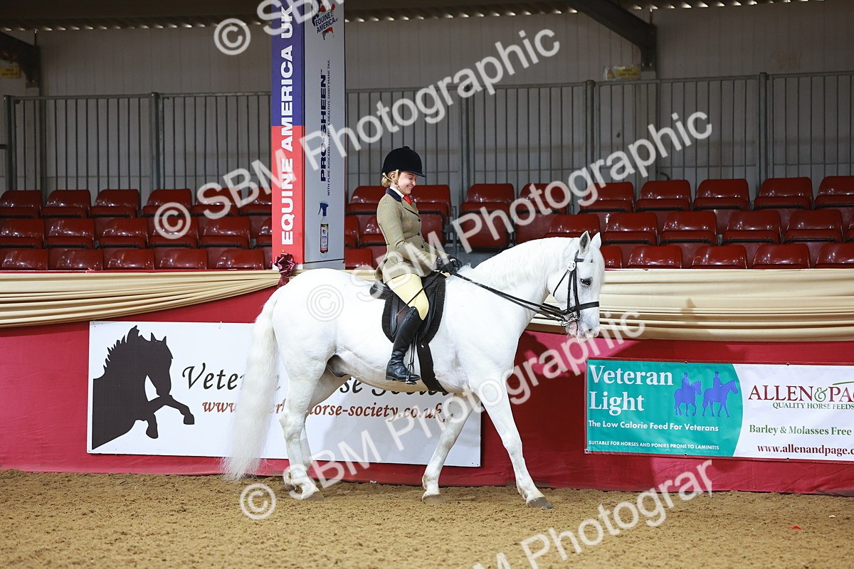 SBM_07547 - Class 101 - HOYS Veteran Qualifier - Ridden Diamond