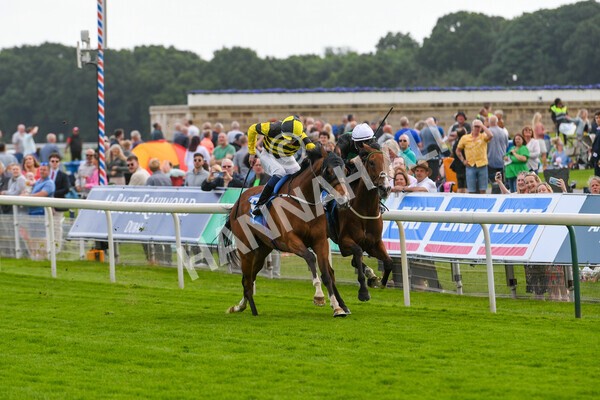 yr10062022r7-12 - Race 7 5.10pm Andy Thornton Hospitality Furniture Stakes