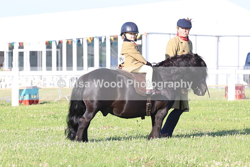 JPP_0683 - Class 16: Cornish Combination Leading Rein