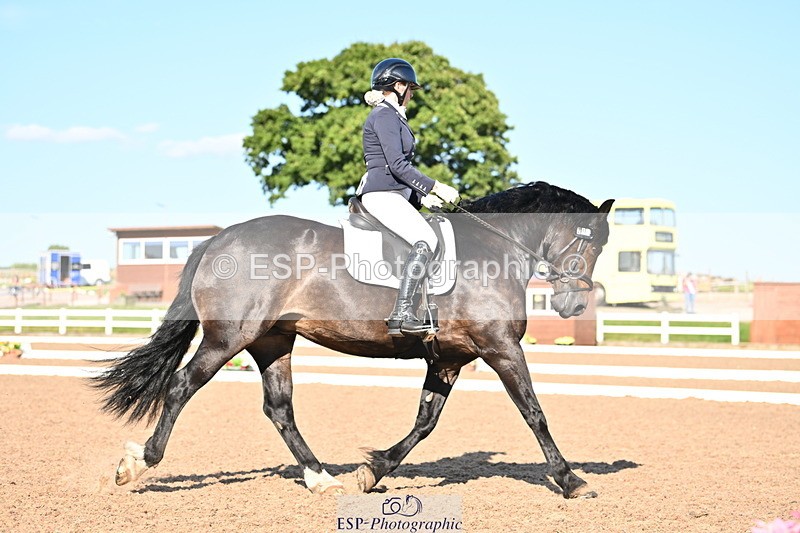 240816A-170444-06352 - 255-Victoria.Hunton-Maesmynach.Annwyl