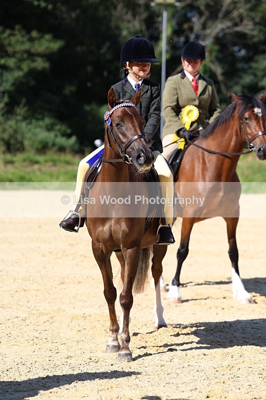 3E7A7958 - Class 14: Tack and Turnout