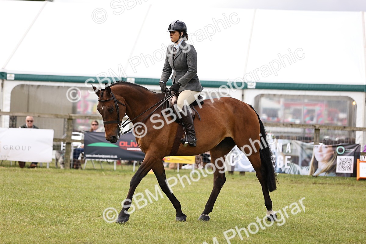 SBM_14686 - Class 88-89 - LIHS BSHA Rising Star of Ridden Hunter Type