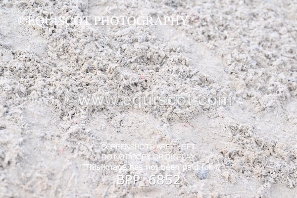 BPP_6852 - RING 1  (RIDDEN HORSES / IN HAND / VETERAN ETC)