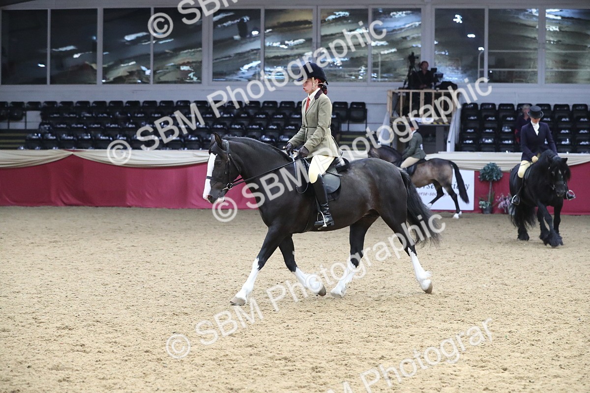 SBM_16372 - Class 502 M&M Ridden Supreme Final